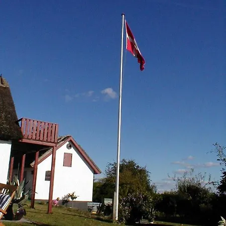 Bulbrovejs לינה וארוחת בוקר Havdrup