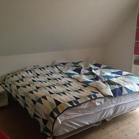 Bulbrovejs * Havdrup