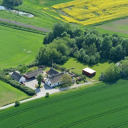 Bulbrovejs Havdrup