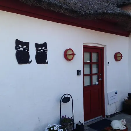 住宿加早餐酒店 波尔布洛民宿 Havdrup