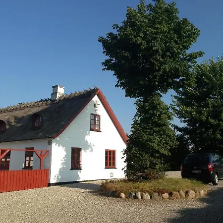 Bulbrovejs Havdrup
