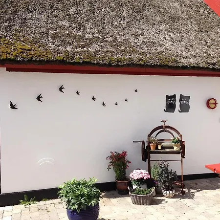 B&B Bulbrovejs