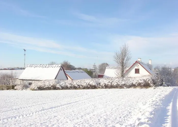 Bed and Breakfast Bulbrovejs Havdrup