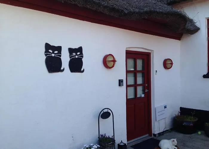 Bed and Breakfast Bulbrovejs Havdrup